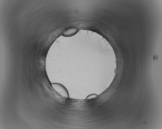 X0000113930288200911061226