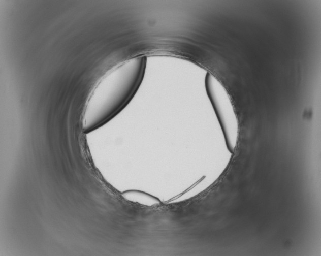 X0000113930289200911061225
