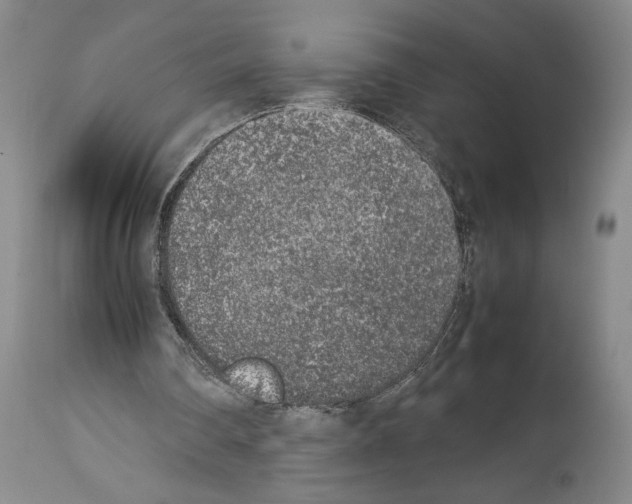 X0000113930290200911061225