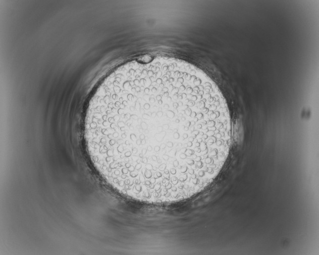 X0000113930291200911061225