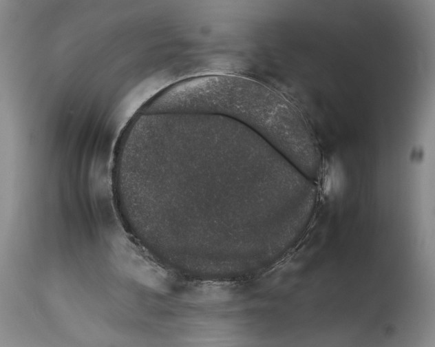 X0000113930292200911061225
