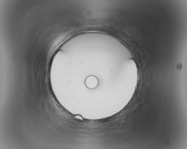 X0000113930293200911061225