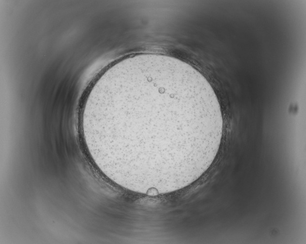 X0000113930294200911061225