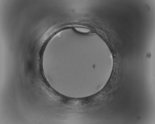 X0000113930295200911061225