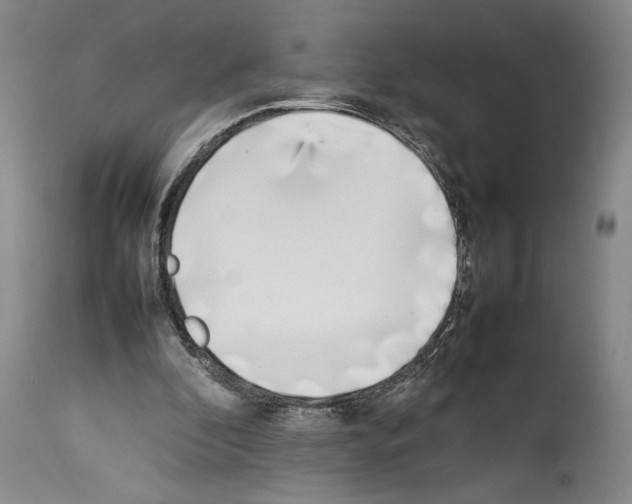 X0000113930296200911061225