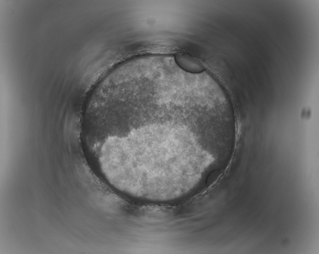 X0000113930297200911061225
