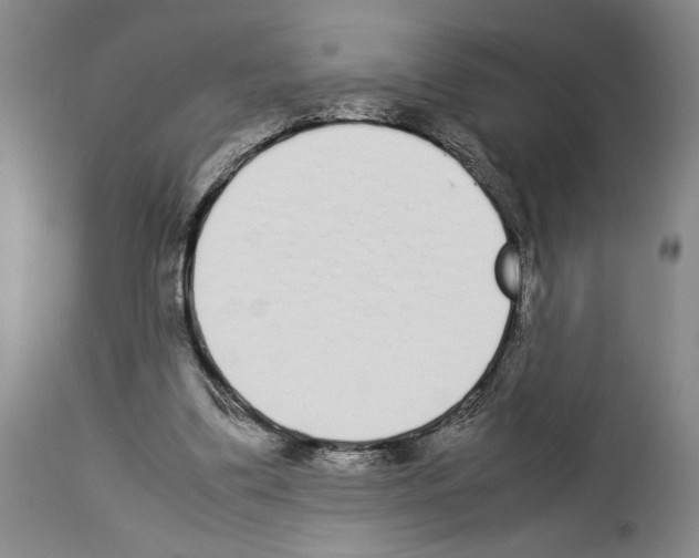 X0000113930299200911061225