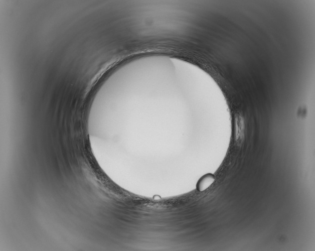 X0000113930300200911061225