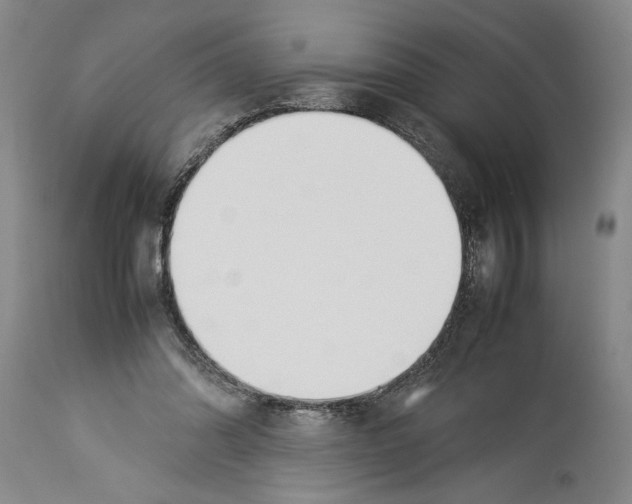 X0000113930302200911061225