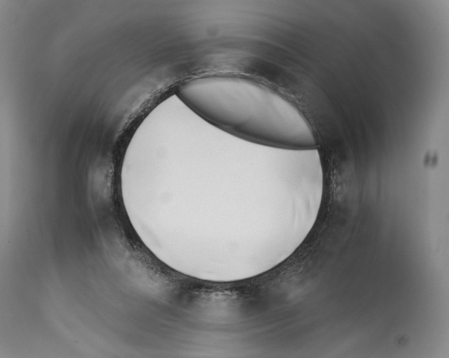X0000113930304200911061225