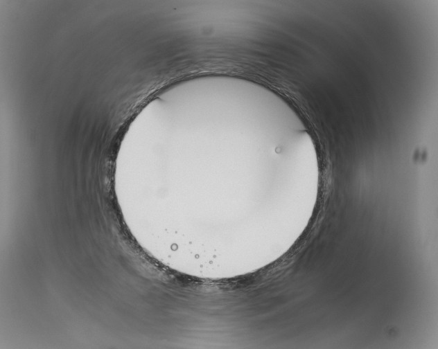 X0000113930305200911061225