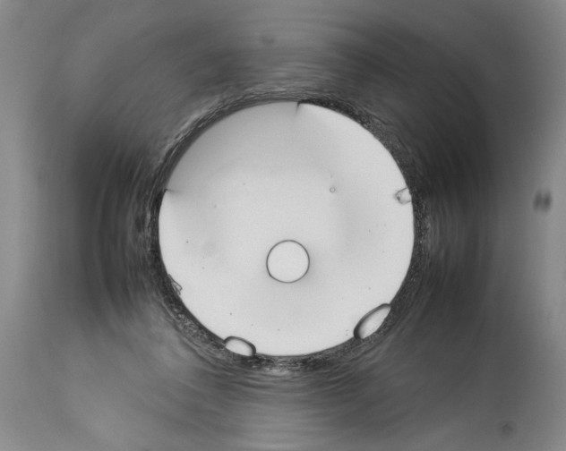 X0000113930308200911061225
