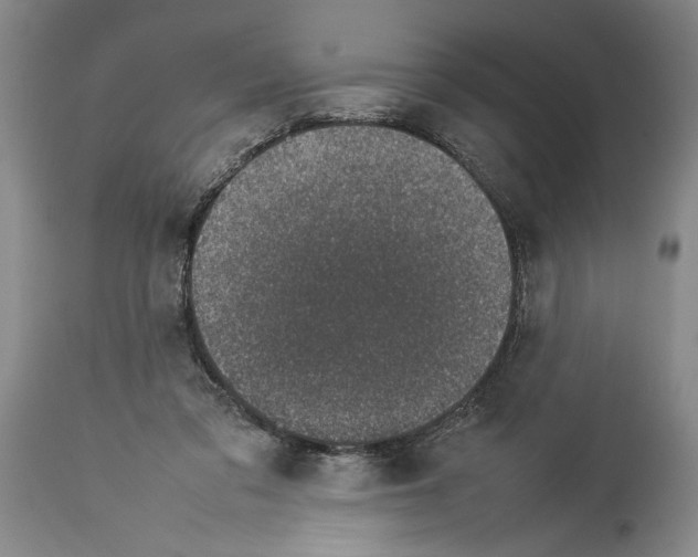X0000113930309200911061225