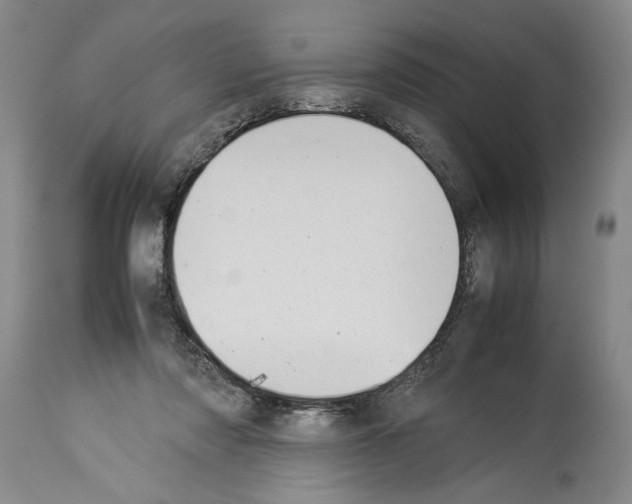 X0000113930310200911061225