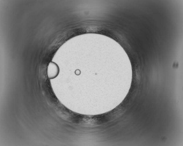 X0000113930311200911061225