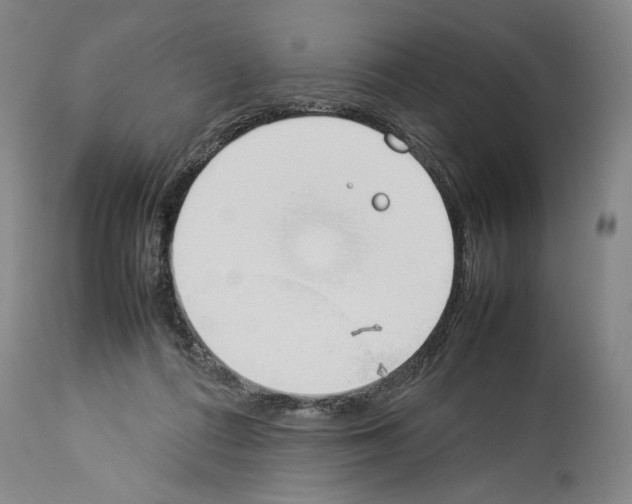 X0000113930312200911061225