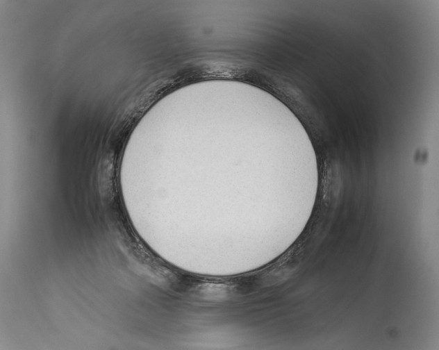 X0000113930314200911061225
