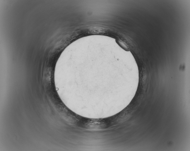 X0000113930315200911061225