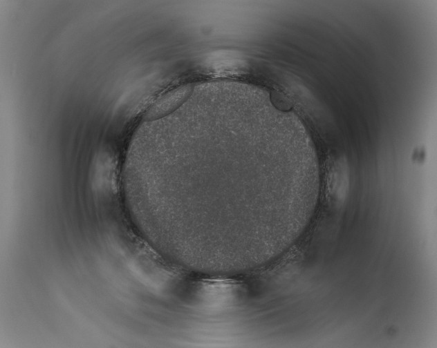X0000113930316200911061225