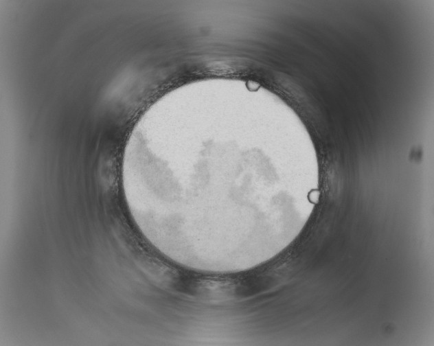 X0000113930317200911061225
