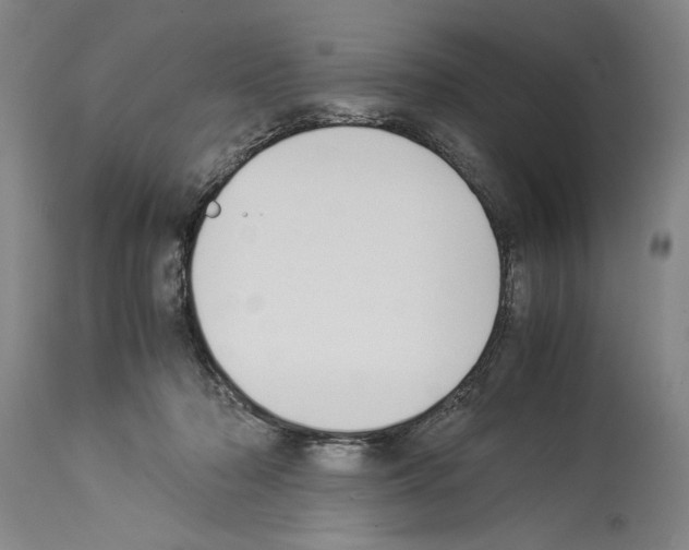 X0000113930318200911061225
