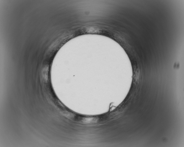 X0000113930319200911061225