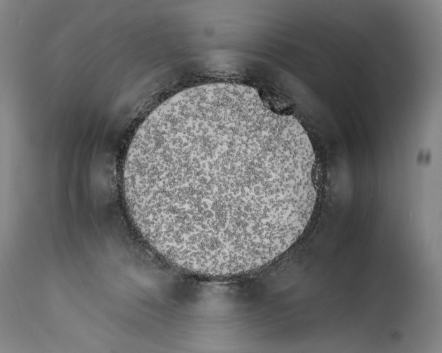 X0000113930320200911061225