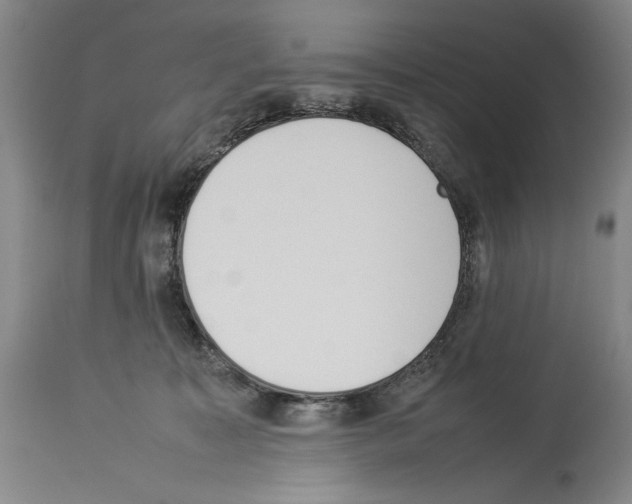 X0000113930323200911061225