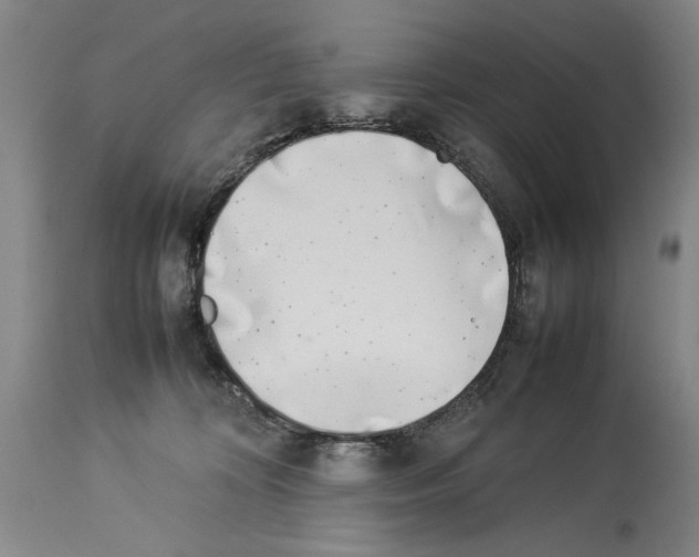 X0000113930324200911061225