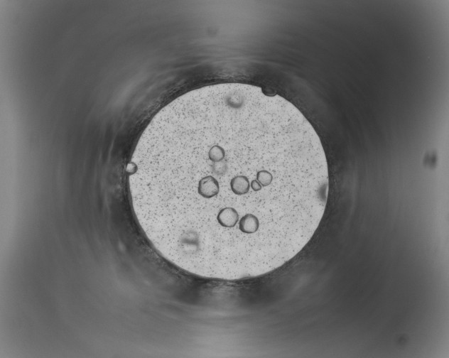 X0000113930325200911061225