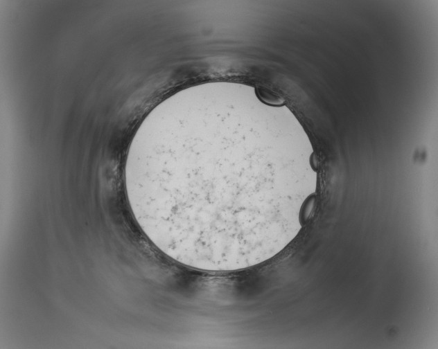 X0000113930327200911061225