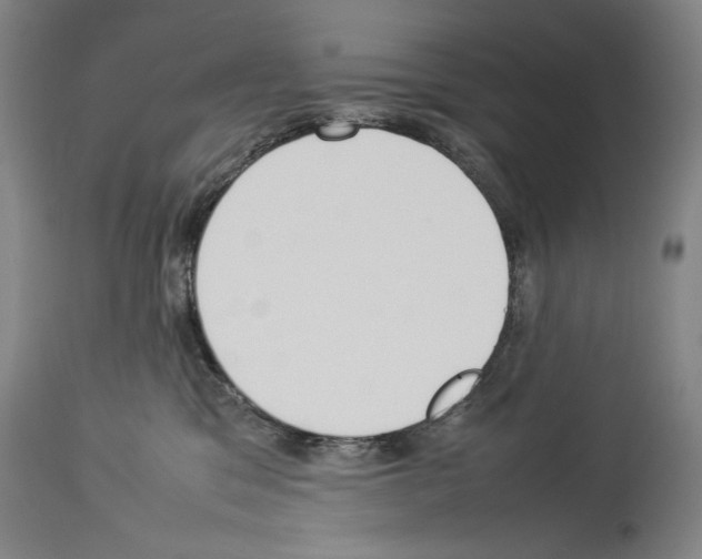 X0000113930329200911061225