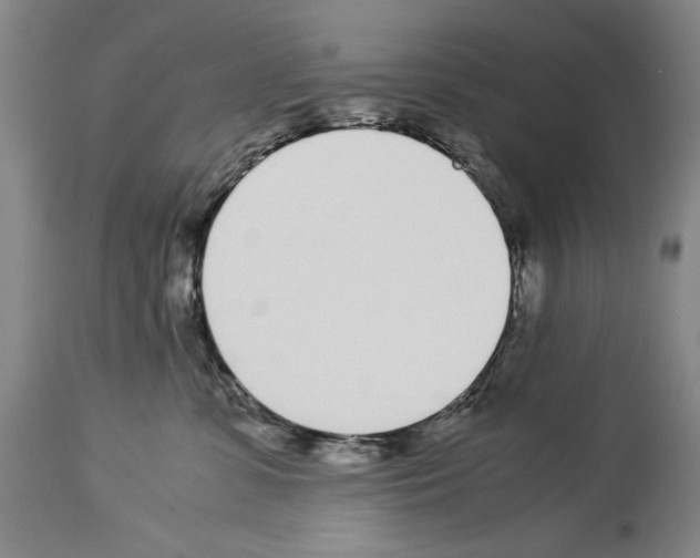 X0000113930331200911061225