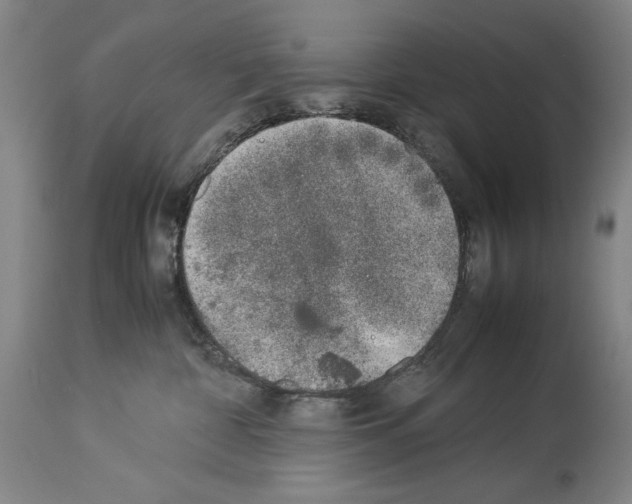 X0000113930332200911061225