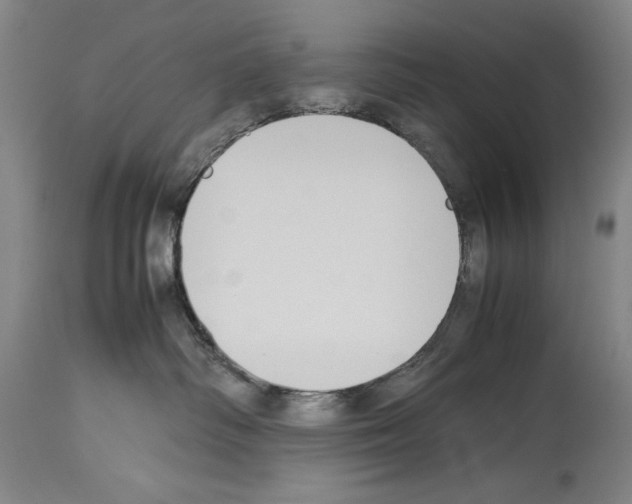 X0000113930334200911061225