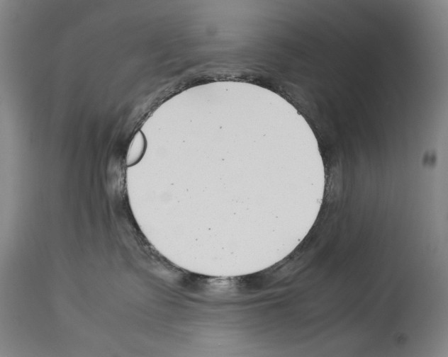 X0000113930335200911061225