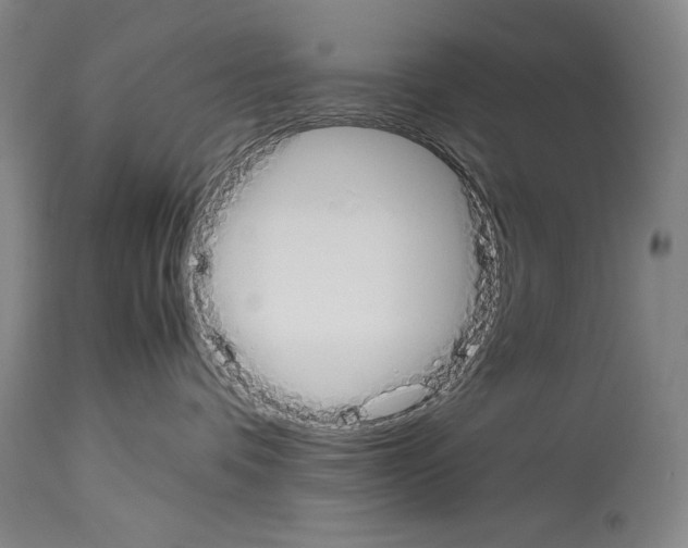 X0000113930336200911061225