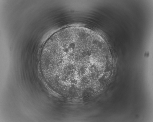 X0000113930337200911061224