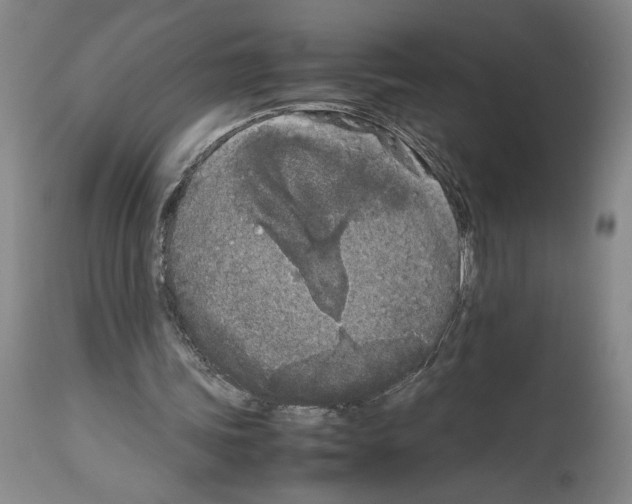 X0000113930339200911061224