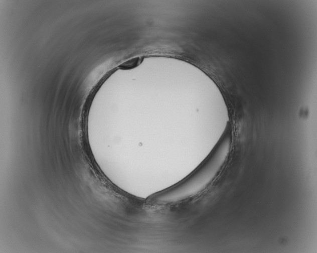 X0000113930340200911061224