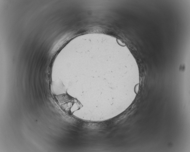 X0000113930341200911061224