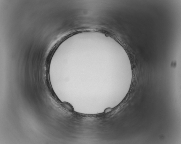 X0000113930342200911061224