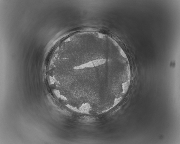 X0000113930343200911061224