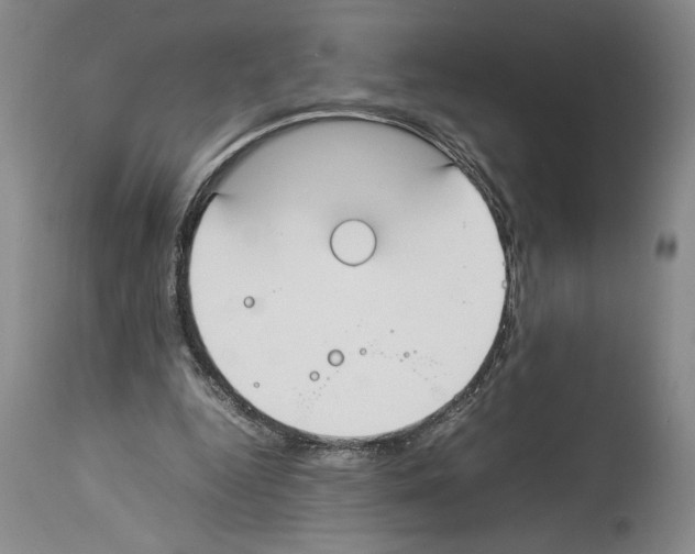 X0000113930344200911061224