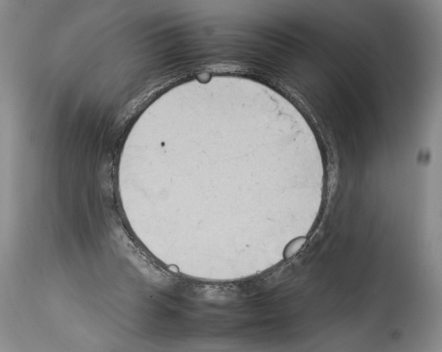 X0000113930345200911061224