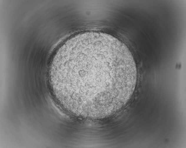 X0000113930346200911061224
