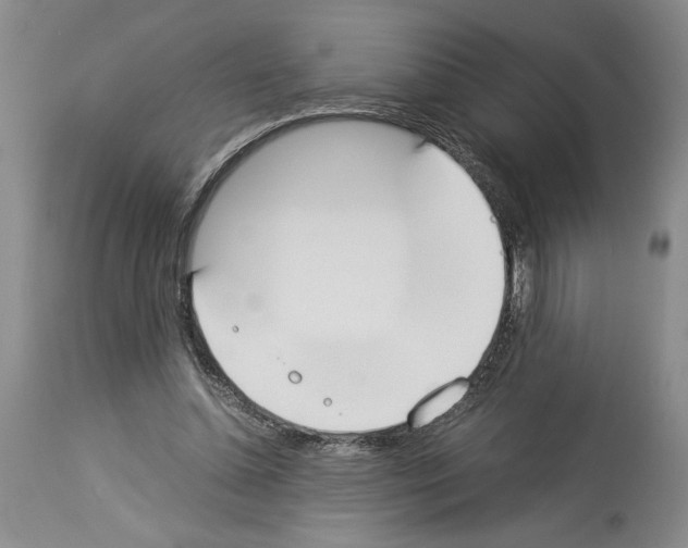 X0000113930348200911061224