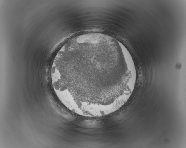 X0000113930351200911061224