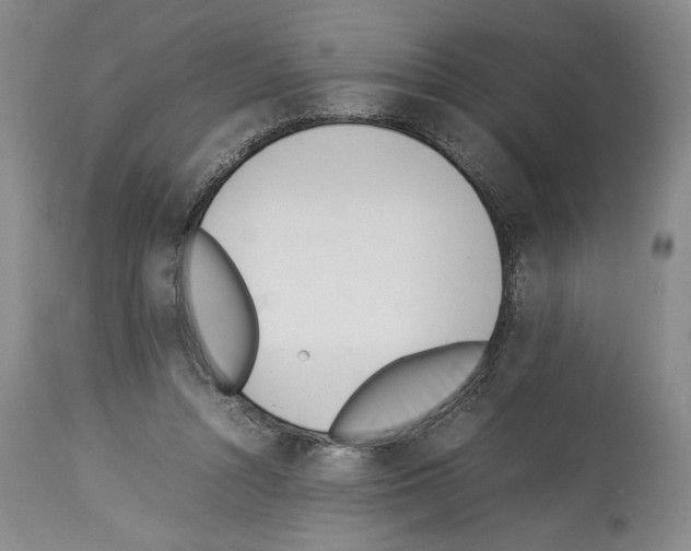 X0000113930352200911061224