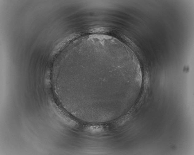 X0000113930353200911061224